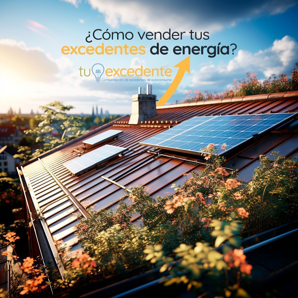 Cómo vender tus excedentes de energía